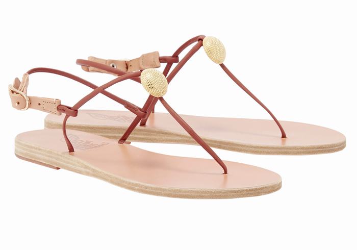 Sandales Bride Arrière Ancient Greek Sandals Dimitra Flip Flop   | KGY-8276303